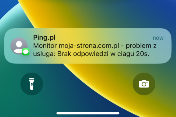 Monitoring stron - powiadomienie SMS o niedostępności strony